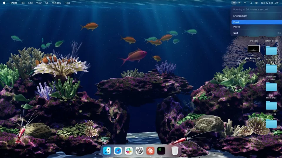 Interactive coral reef wallpaper on a Mac desktop