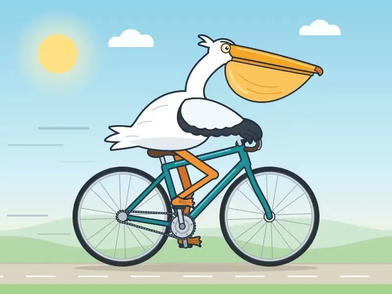 Flat cartoon pelican rides a teal bicycle