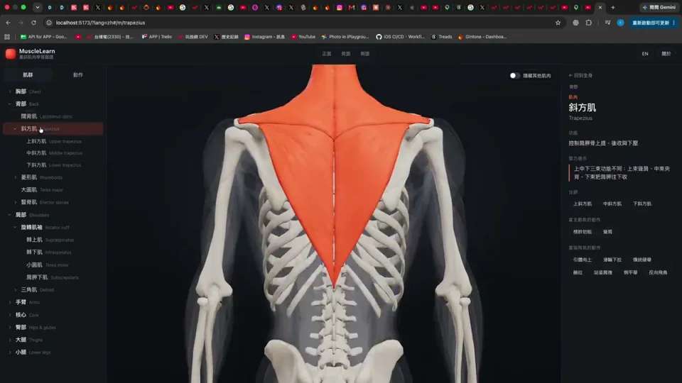 Muscle-map app highlights chest and back groups on a skeleton