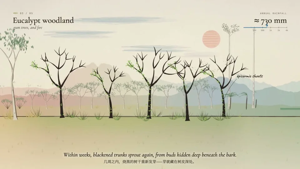 Australian landscapes shift from red centre to rainforest by rainfall