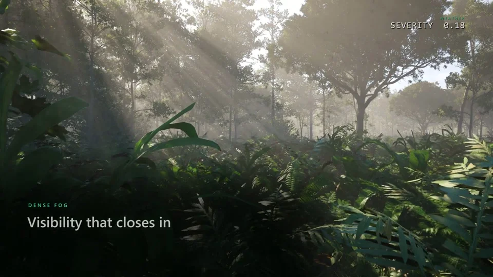 Unreal Engine weather cinematic in a foggy rainforest