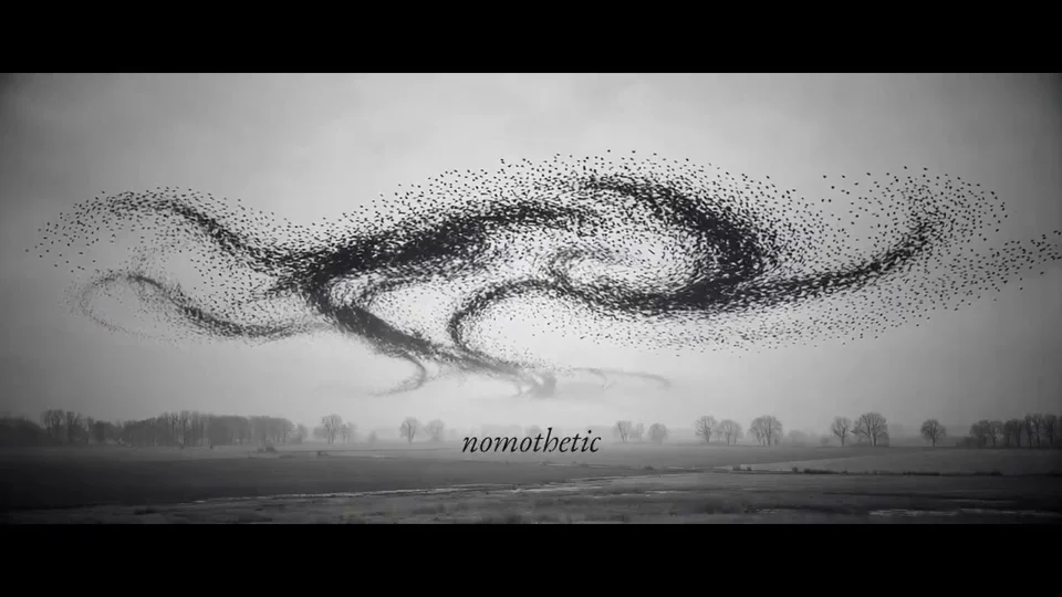 Starling murmuration over the word "nomothetic"