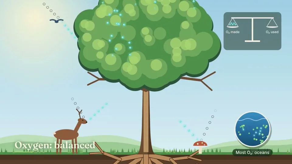 Flat-illustrated trees explain carbon, rain and cooling