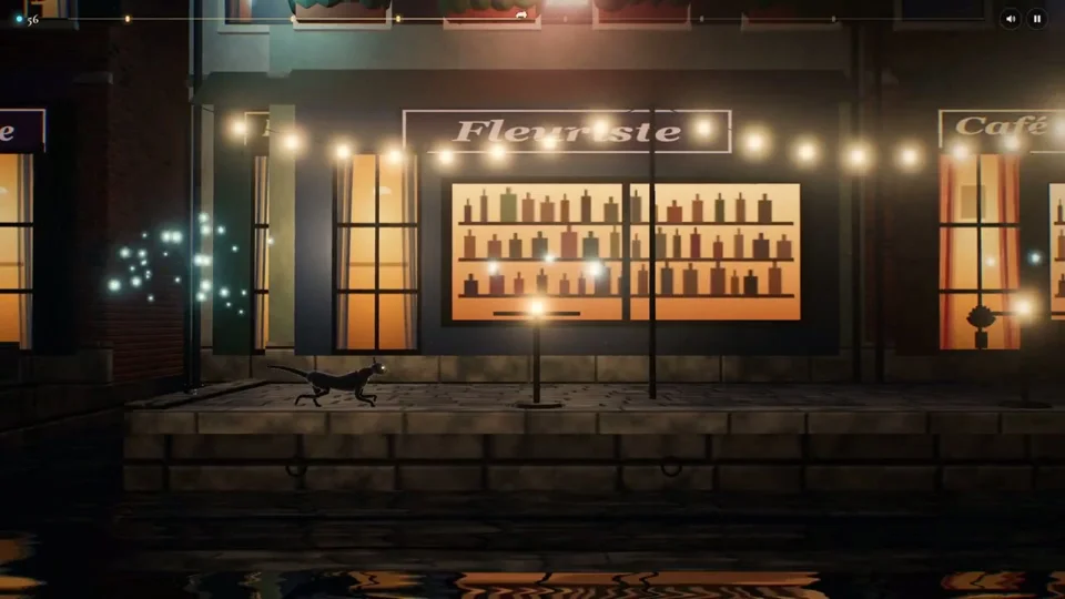 Black cat strolls past shopfronts along a moonlit canal