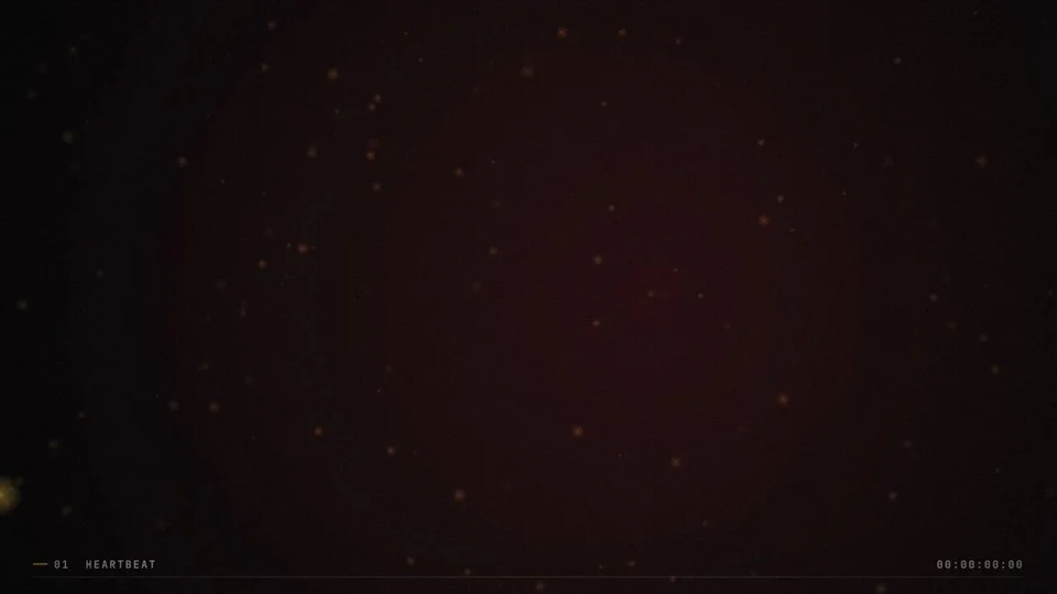India and cricket themed motion showreel