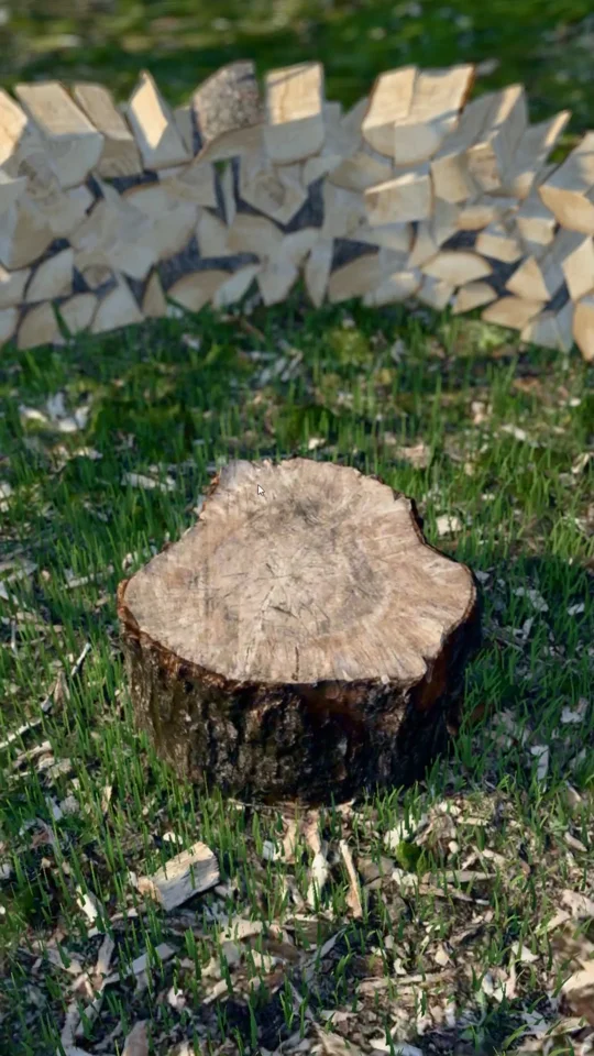 Vibecoded a firewood splitting simulator using my actual 3D scanned stump and ax and wood