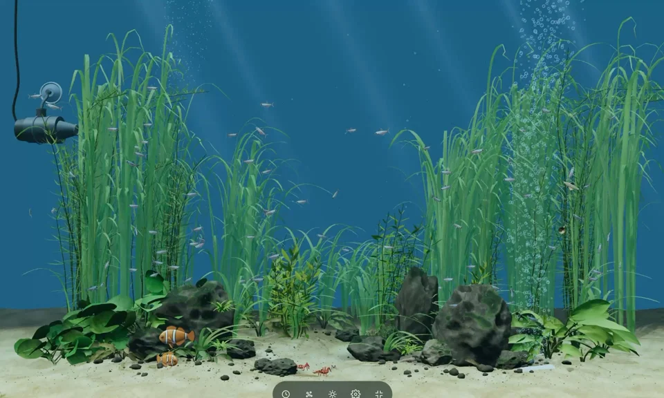 An aquarium where the fish tell the time