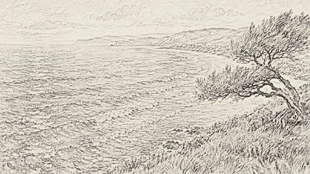 Painterly coastal sunset animation drawn frame by frame