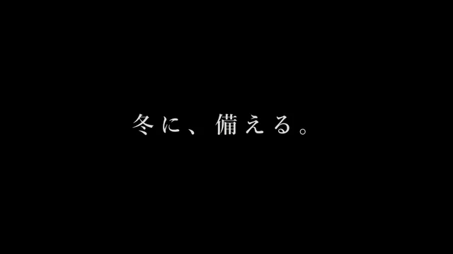 前にAstraで作ったこのフェンス、今度はClaude Opus 5.5にも頼んでみたｗ