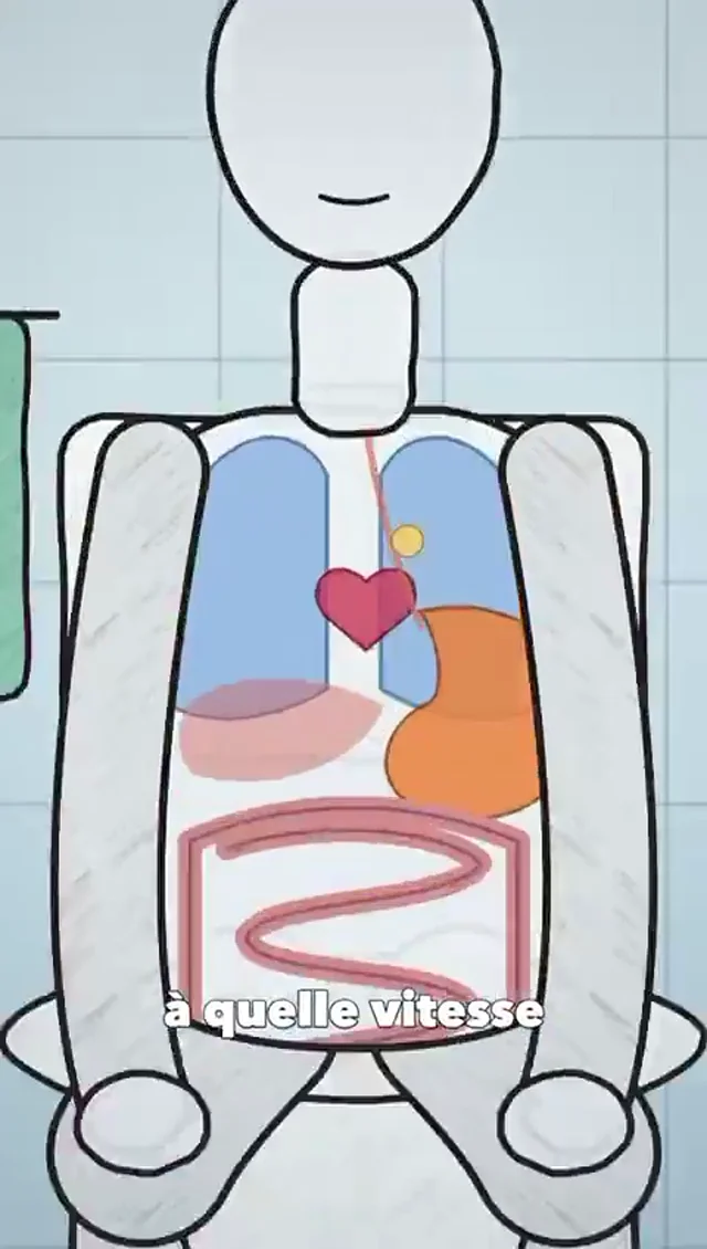 Doodle-style vertical ad about feeling less bloated