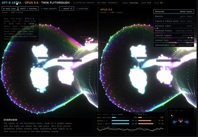 I Visualized the Operation of GPT-6 Astra and Opus 5.5 Within a 3D Model of a Fly Brain (WebGL). Here…