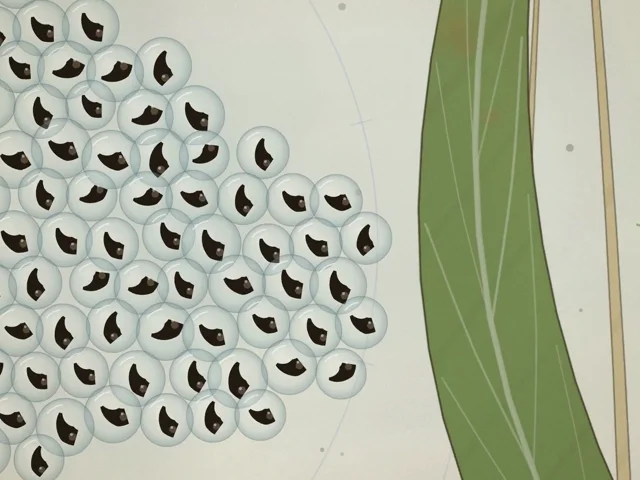 Claude Opus 5.5 created this entire animation frame by frame in JavaScript.