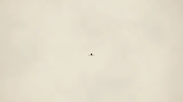 Aşağıdaki videoyu Opus 5.5'kullanarak yaptım.