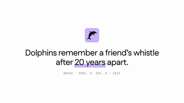 We launched DolphinBench this week.
