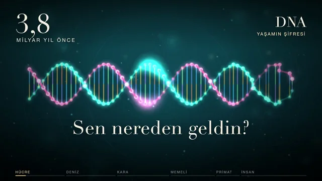 @claudeai @_re_pete the evolution of humanity: sonnet 5.5 drew with javascript