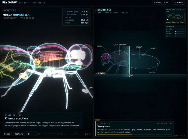 OPUS 5.5 VS SONNET 5.5: WHO BUILDS BETTER AI SIMULATIONS?