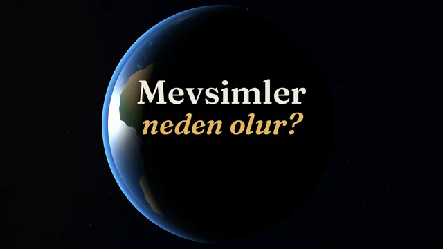 Opus 5.5 ile 2D Animasyon Yaptık, Güzel. Peki 3D Animasyon Nasıl Yapacağız?