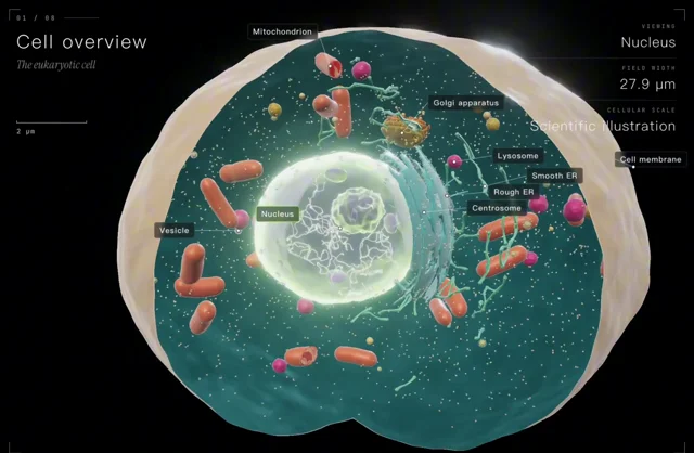 So amazing cell illustration made by Claude Opus 5.5 with three.js