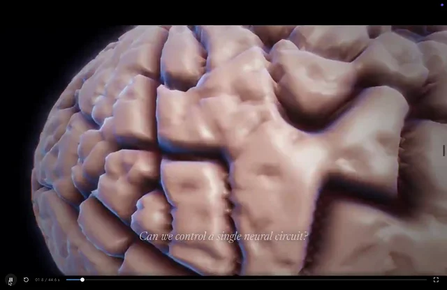 3D animation of optogenetics using claude(Opus 5.5).