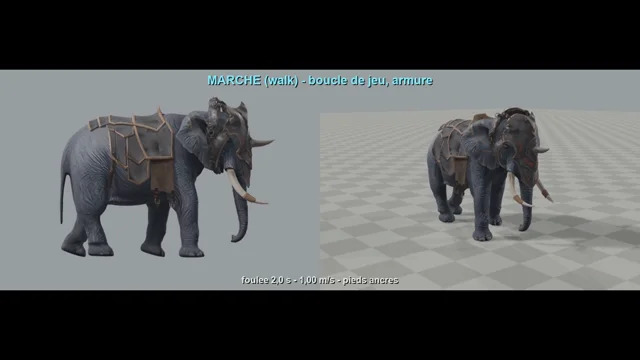 Another animal. Same workflow. Two iterations.