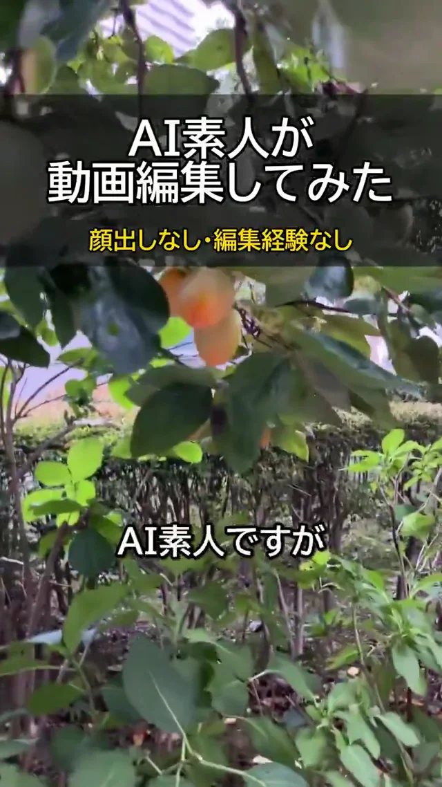 寝起きで外に出て、柿の木を撮りましたw